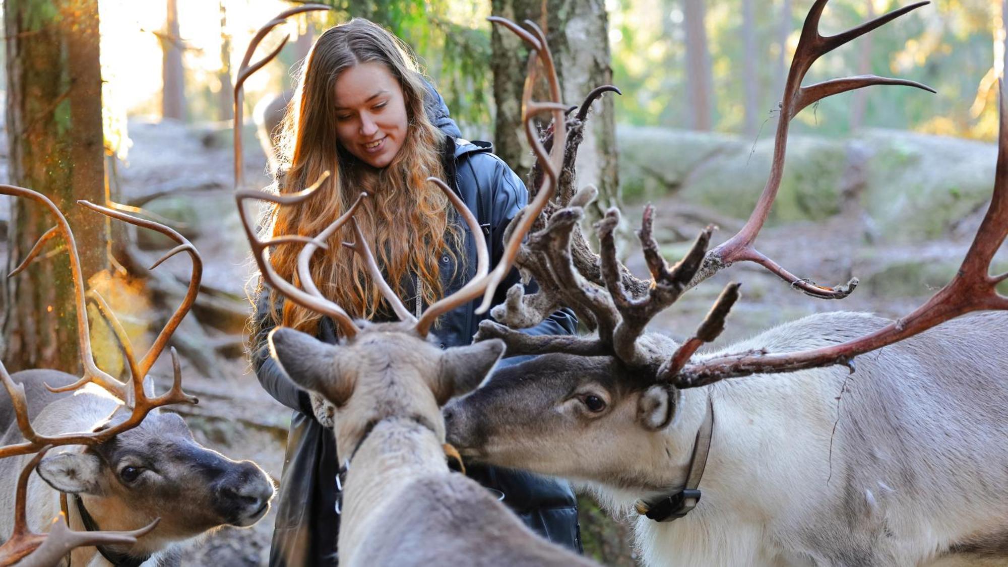 Haltia Lake Lodge Nature Boutique Hotel & Glamping Esbo Eksteriør bilde