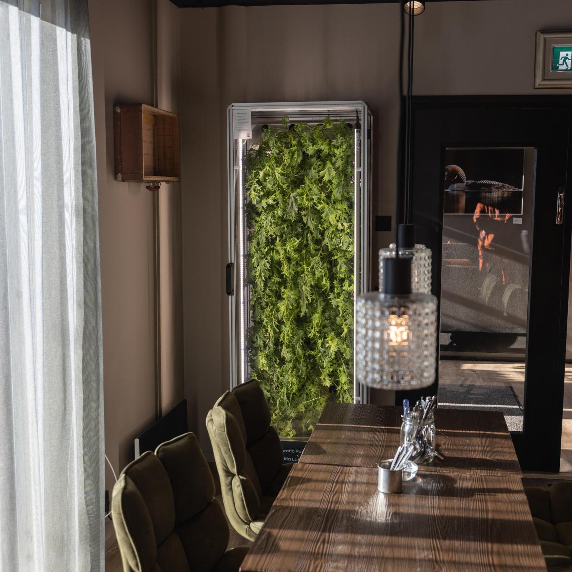 Haltia Lake Lodge Nature Boutique Hotel & Glamping Esbo Eksteriør bilde